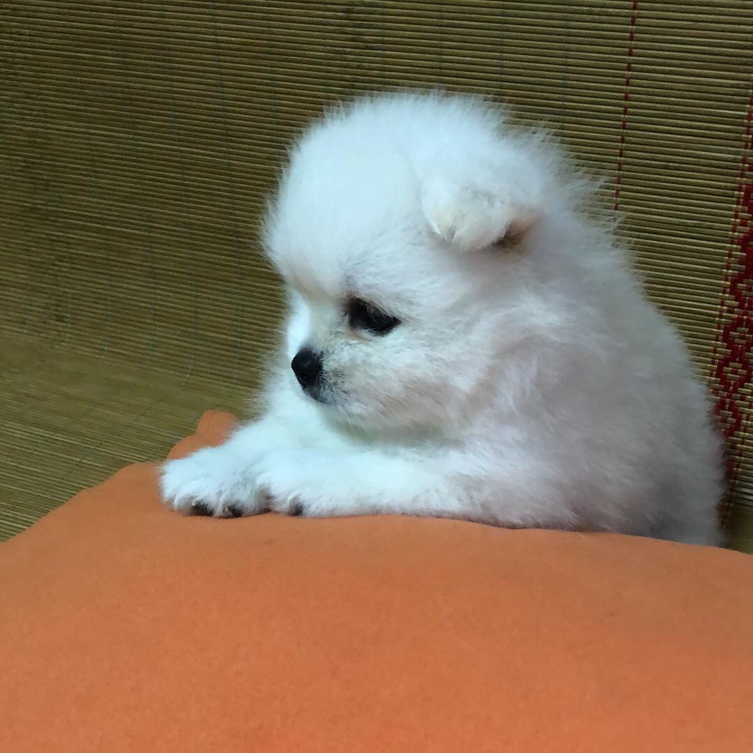 三月的云
