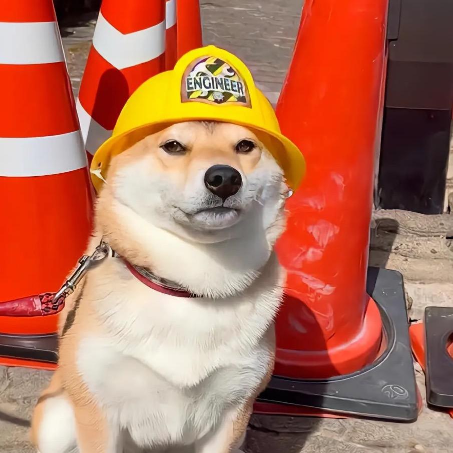 大大大大卷