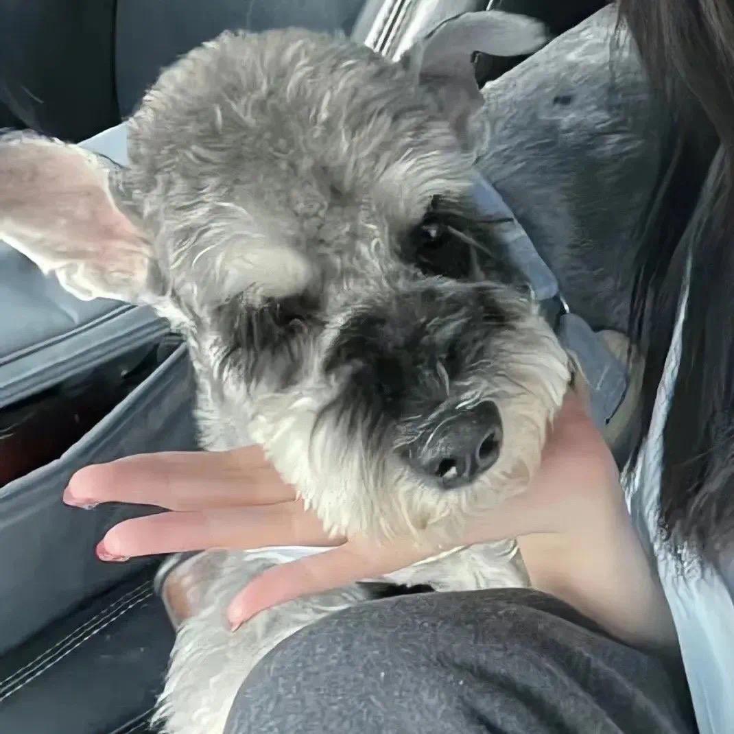 柠宁同学🍋（好物分享）