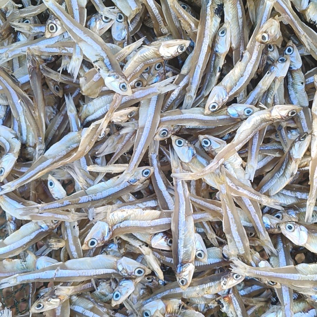 珩景夏姐海鲜干货优选