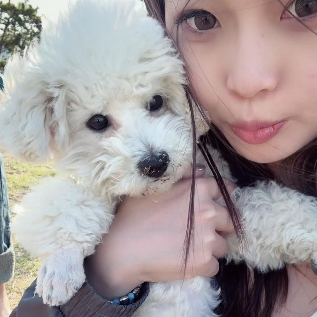 麦当劳在逃甜筒🍦