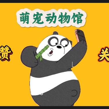 萌宠治愈馆