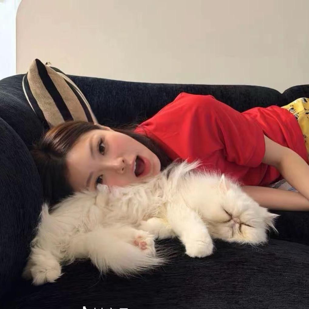 乱₇₈糟的小范💭ྀི