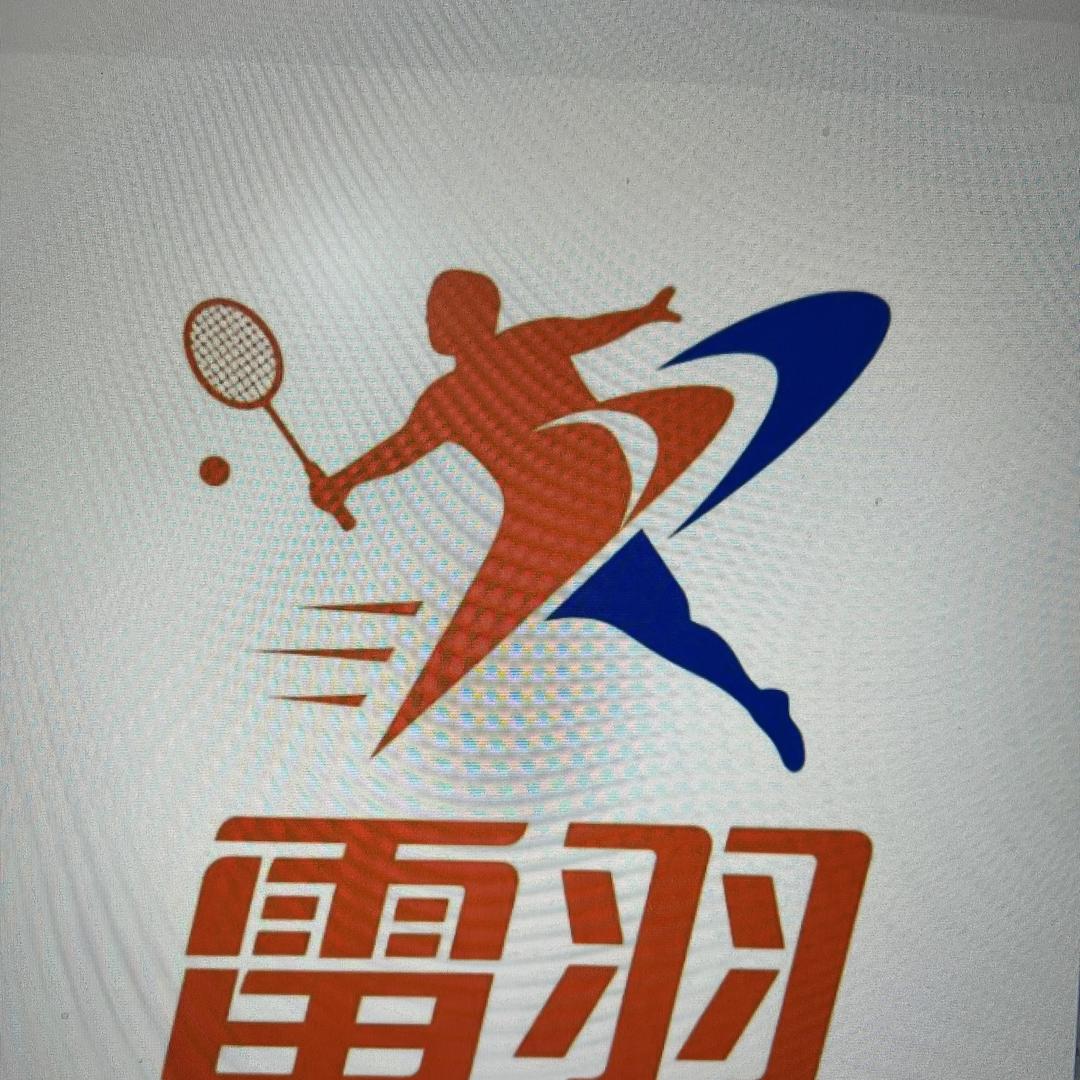 雷羽羽毛球拍