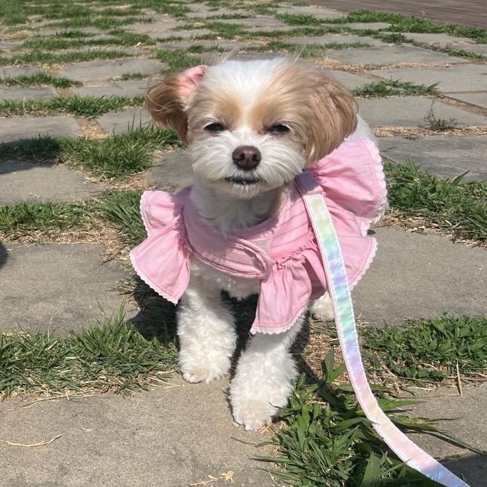 Zoey