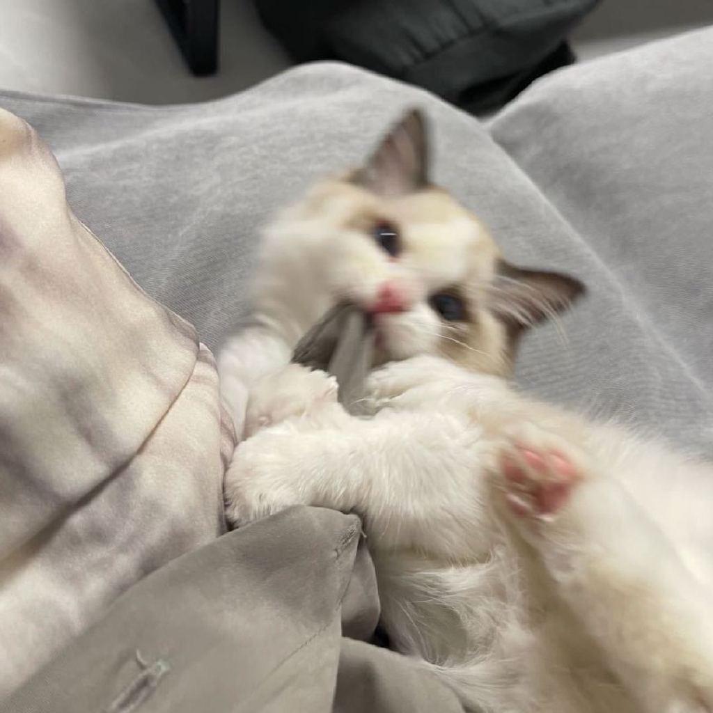 老公为小三出走的雨夜含泪吃下六份黄焖鸡.