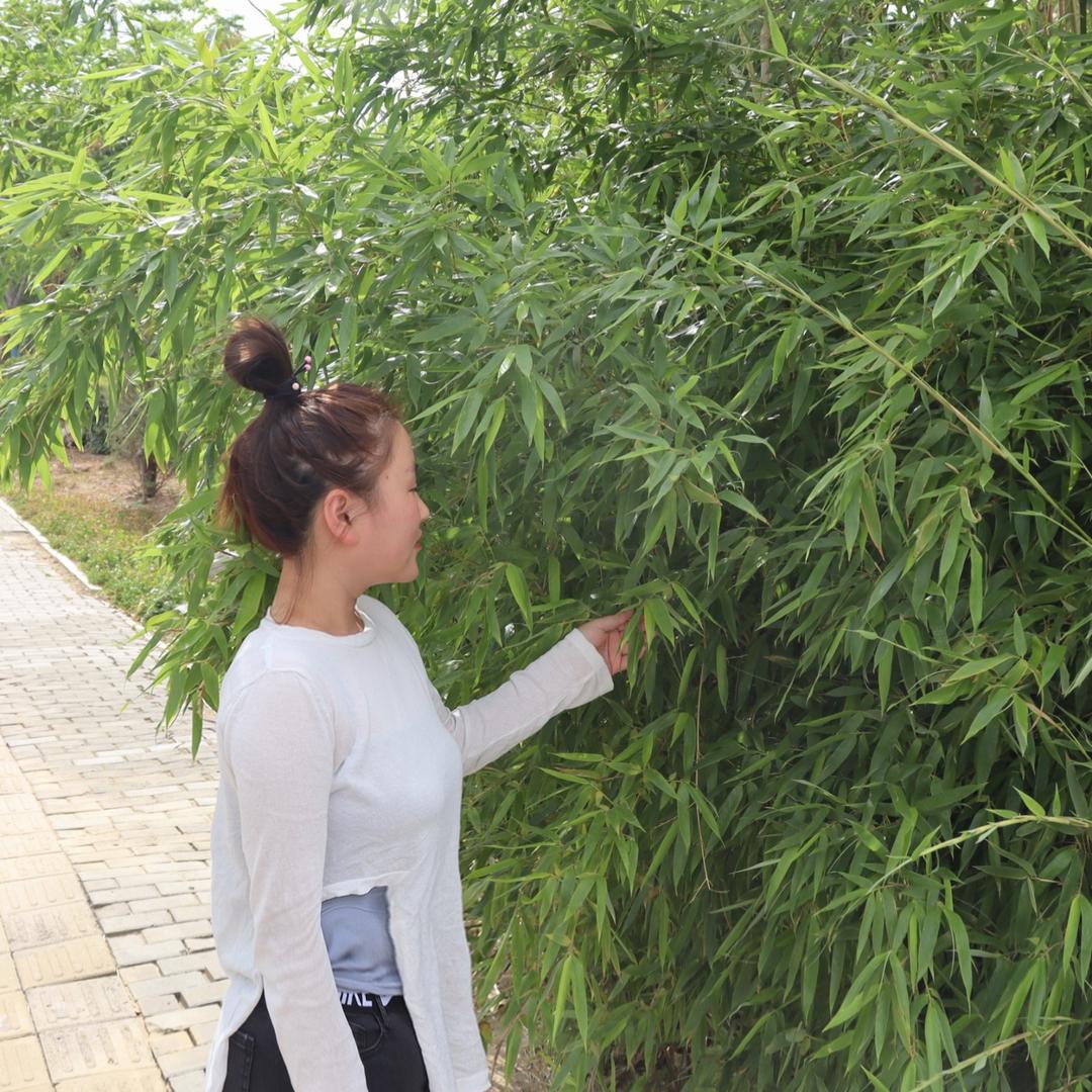 食品软糖果冻贴牌生产厂家