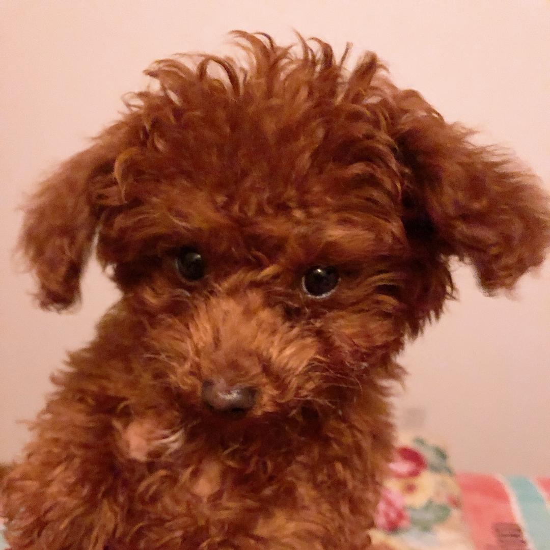 MUMU