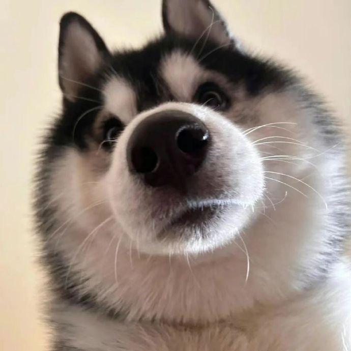 前方