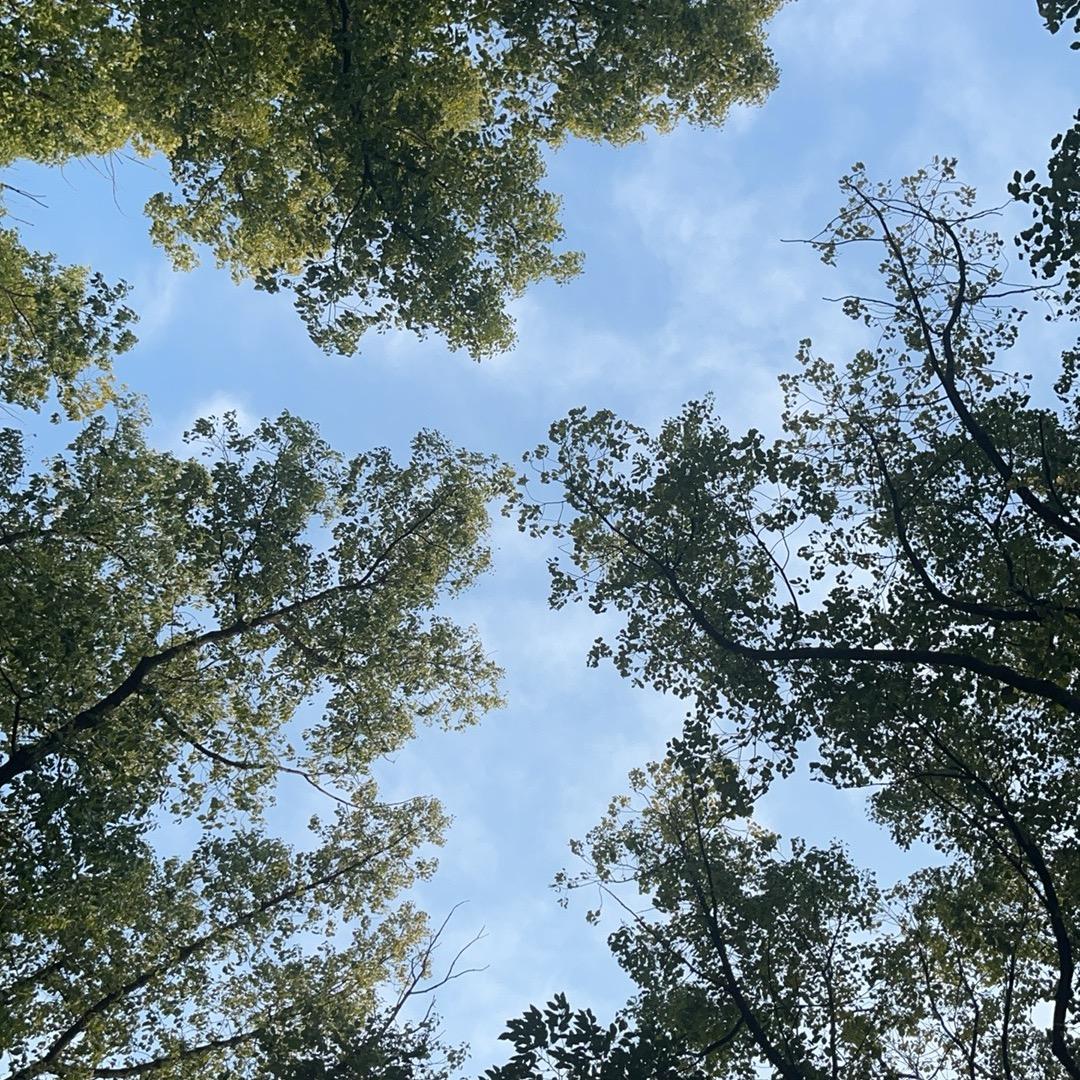 时光荏苒