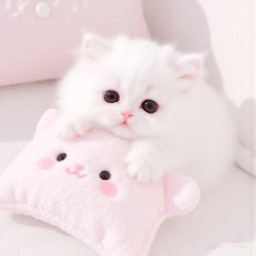 行