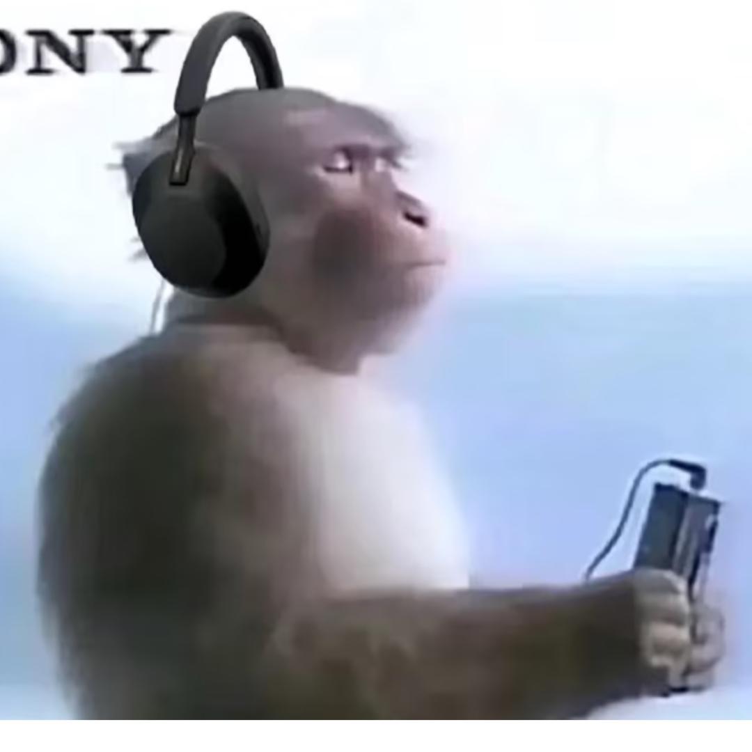 。。。。。。。