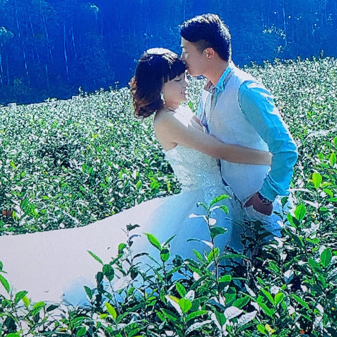 周家的丫头💋🌸💋