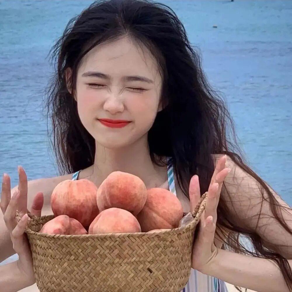 念念（宠粉回归）