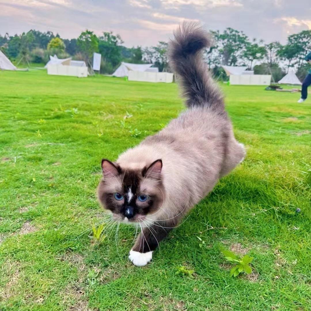 喜欢悠然独自在