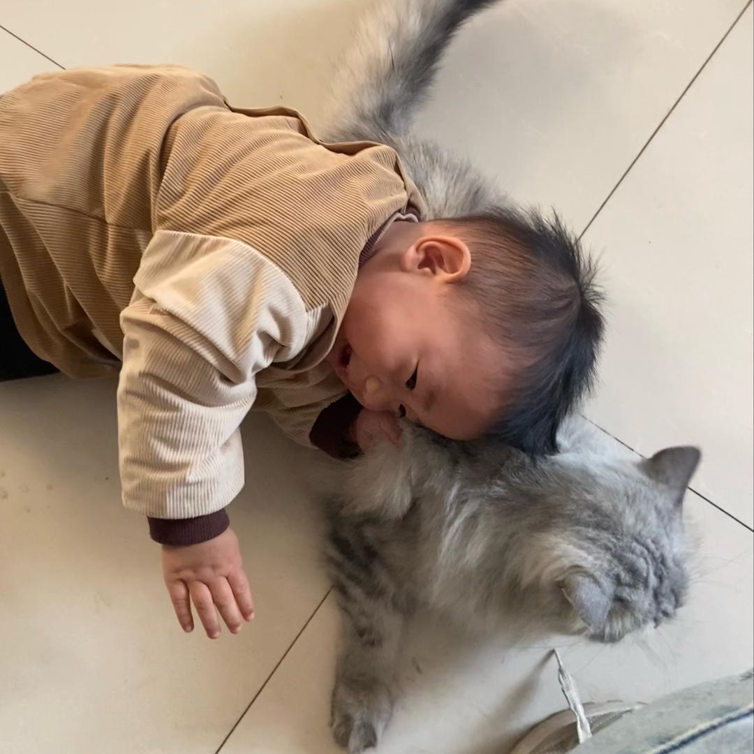 阿泽米线