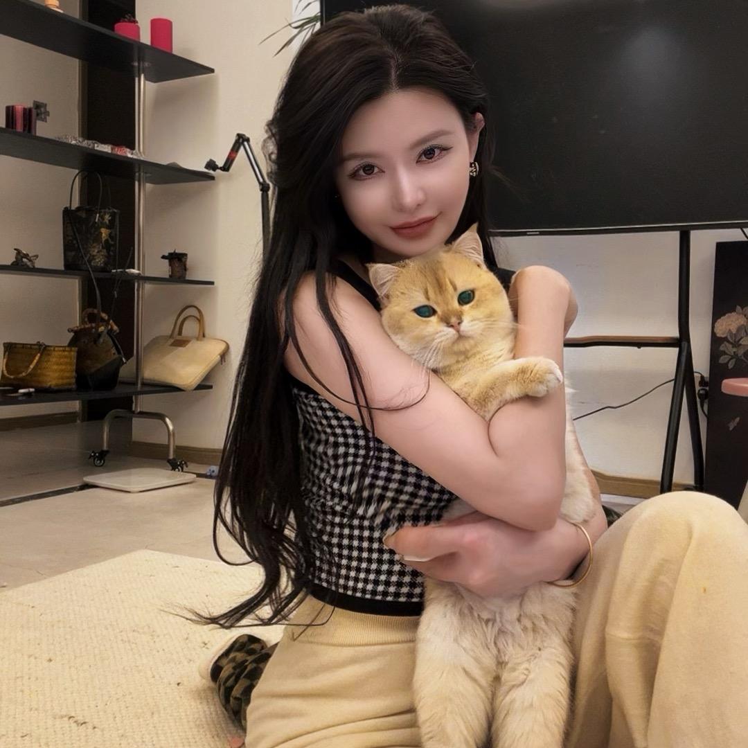 小福猫🐈
