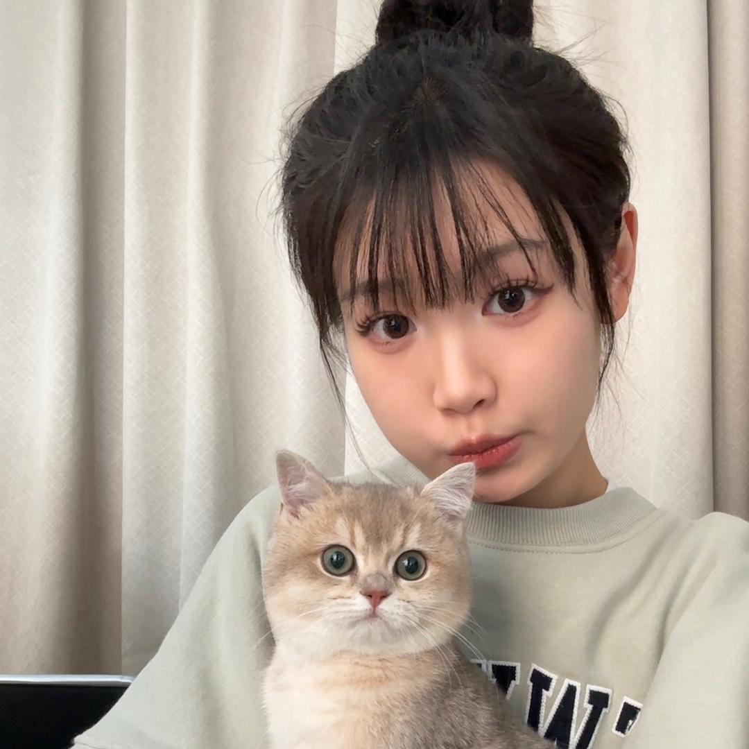 羊羊不胖
