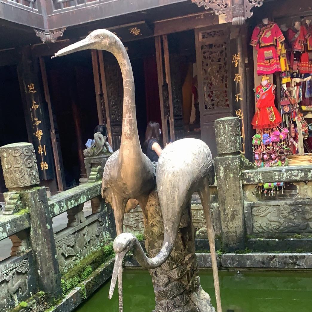 天天