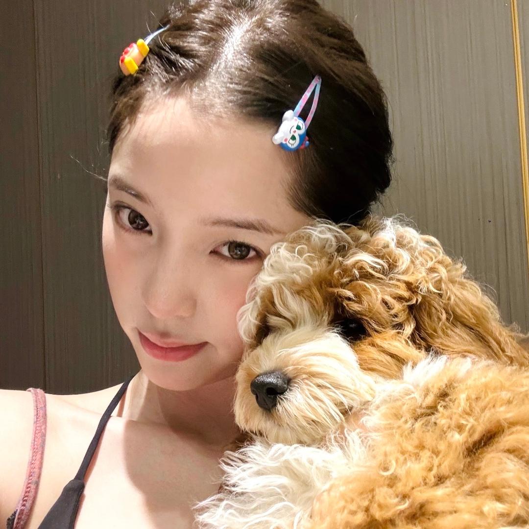 春雾颂
