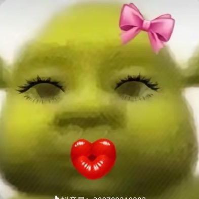 羊驼婷子（见过解解和JJ版）