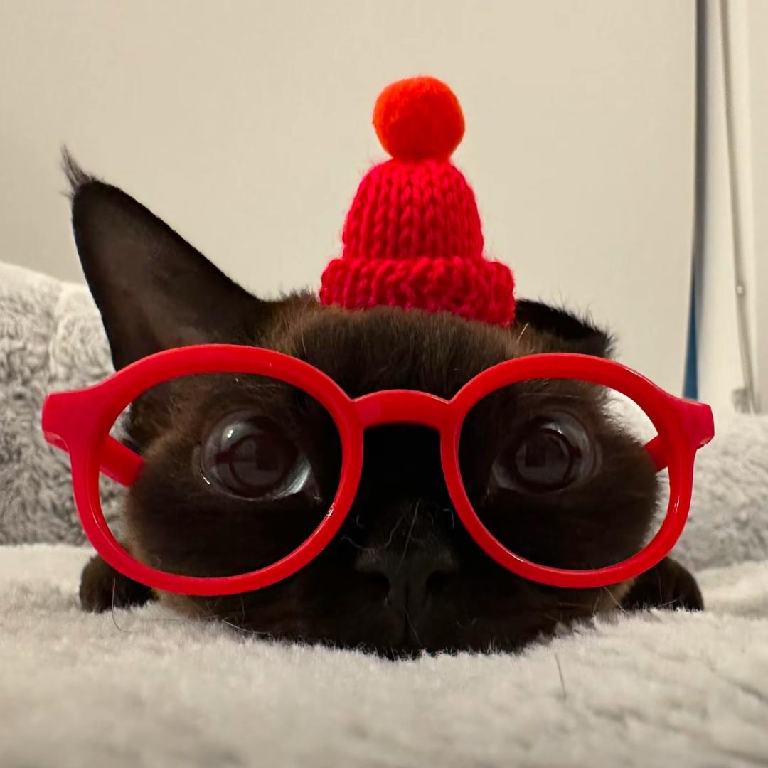 一蓑烟雨任平生-