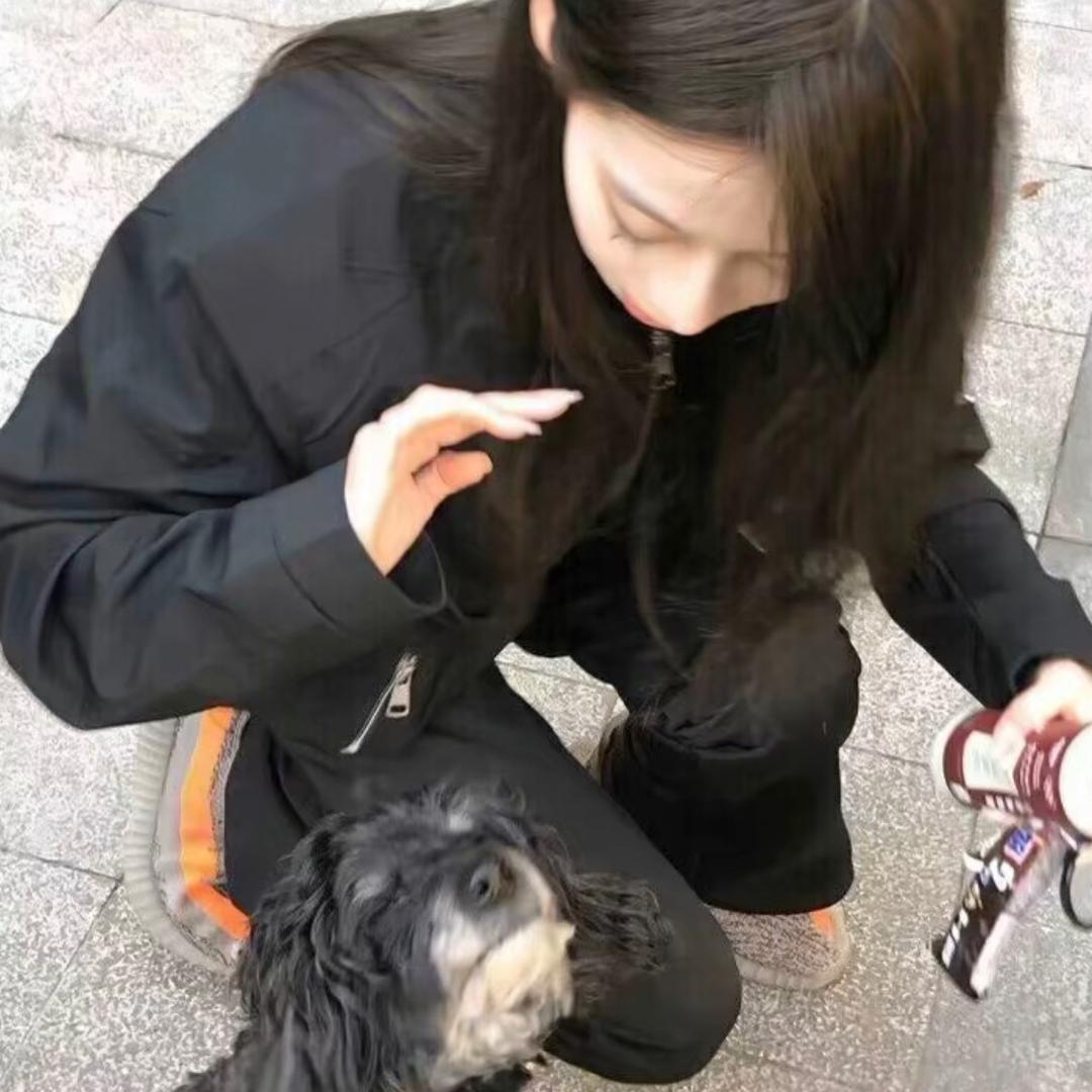 枕上猫.