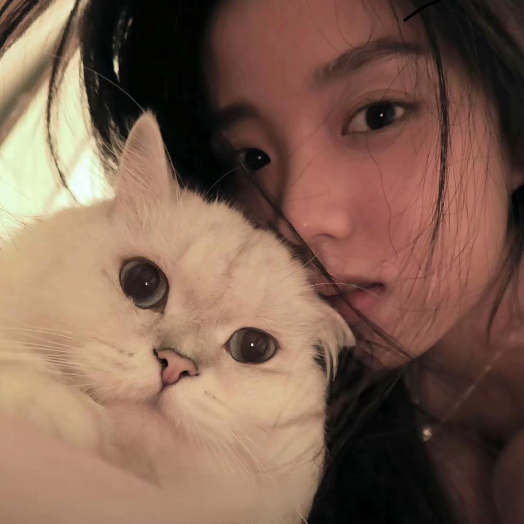 若隐情景 SPA(浉河店)-月亮🌙