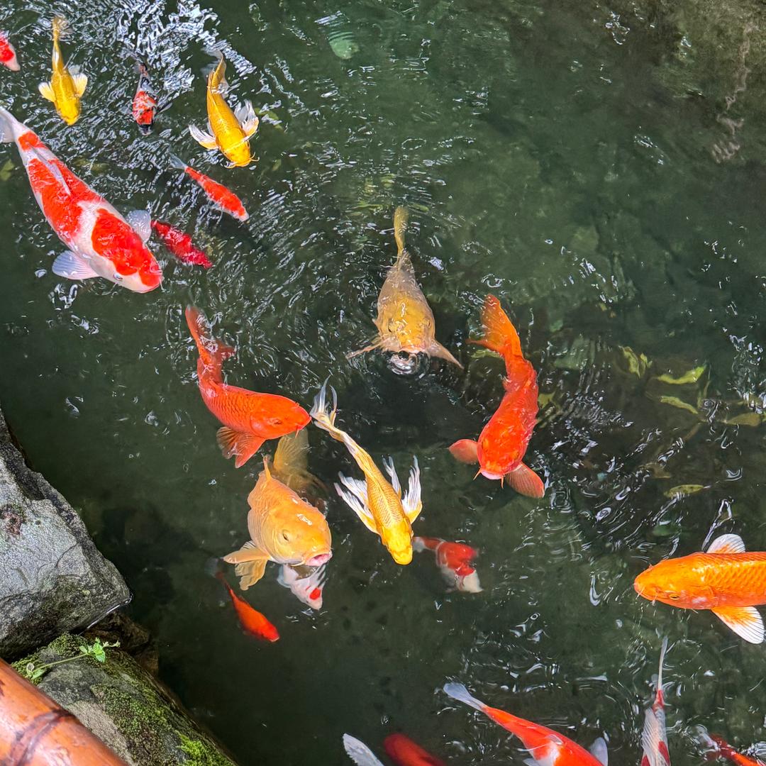 何老先生长沙柔婚篮生活用品馆