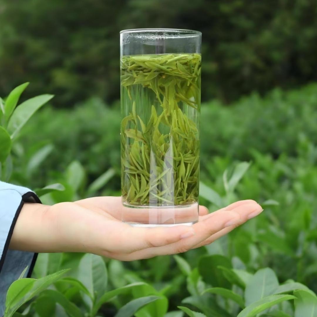 光云茶厂