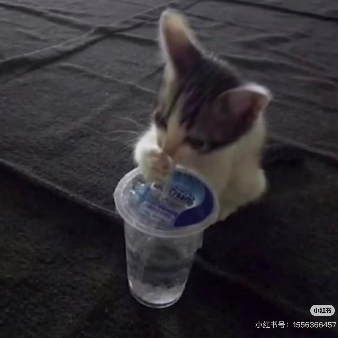 Gloria的记事薄