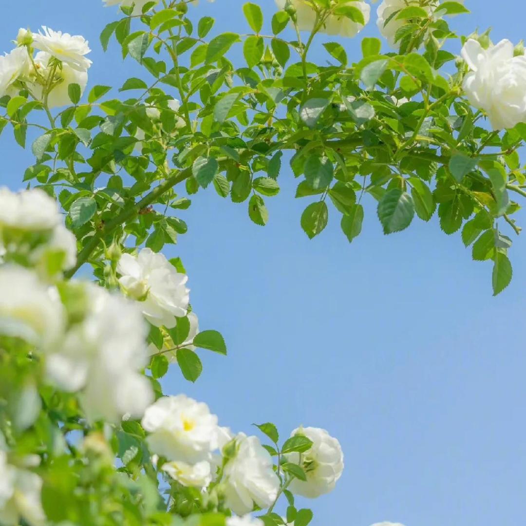 郝事.花生🥜
