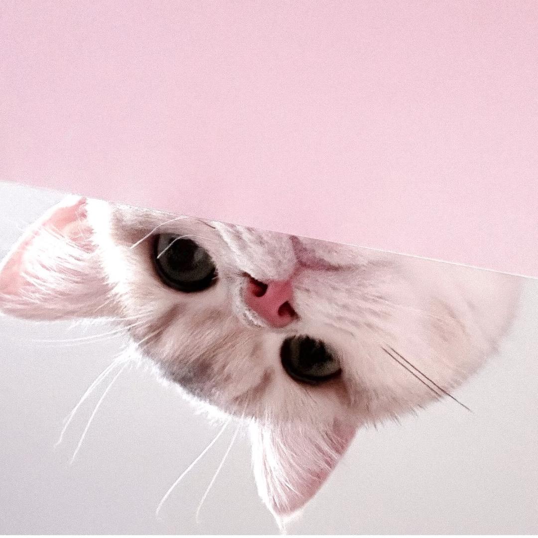 o3uiii