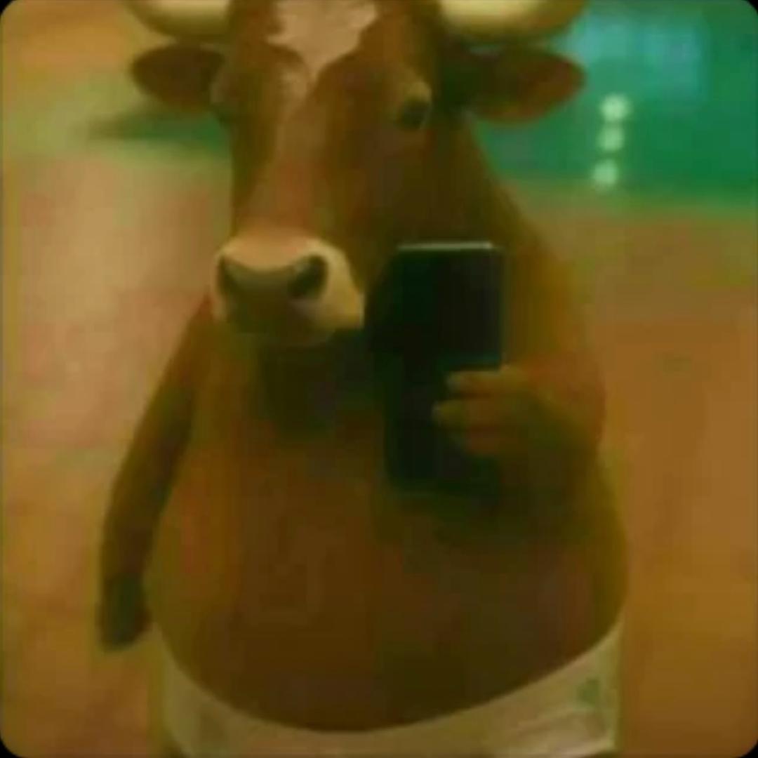 放飞理想的有志青年