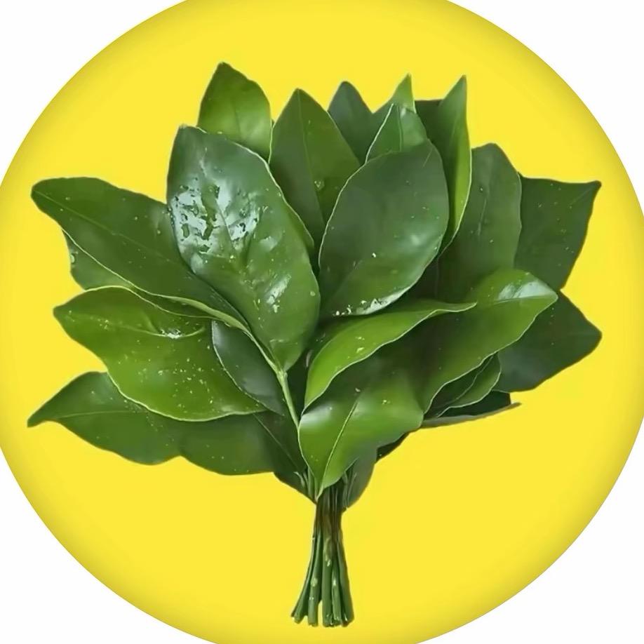 小芒不芒