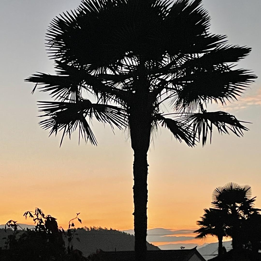 东㑲亞山货茻货