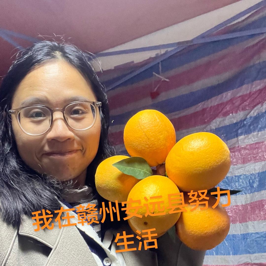 大Zhang