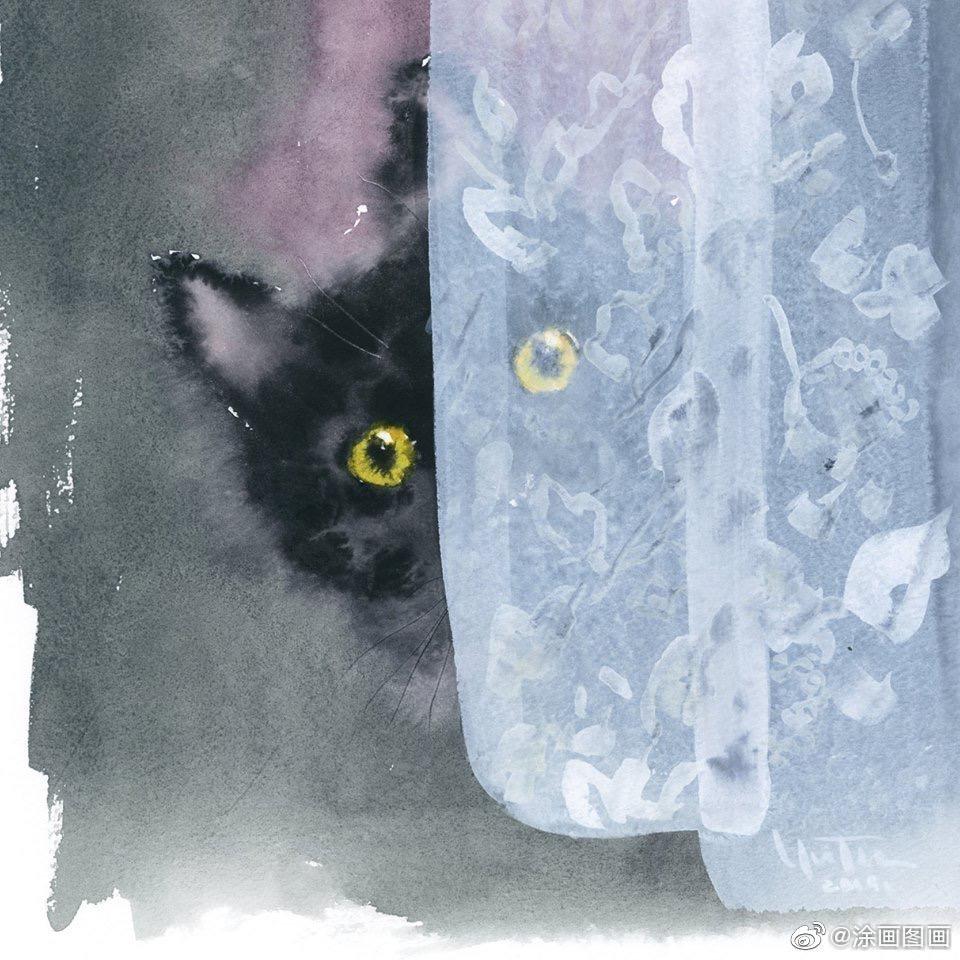 黑猫警长🐱