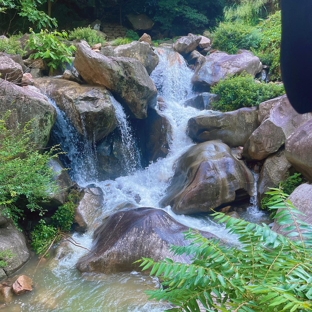 天悦团购