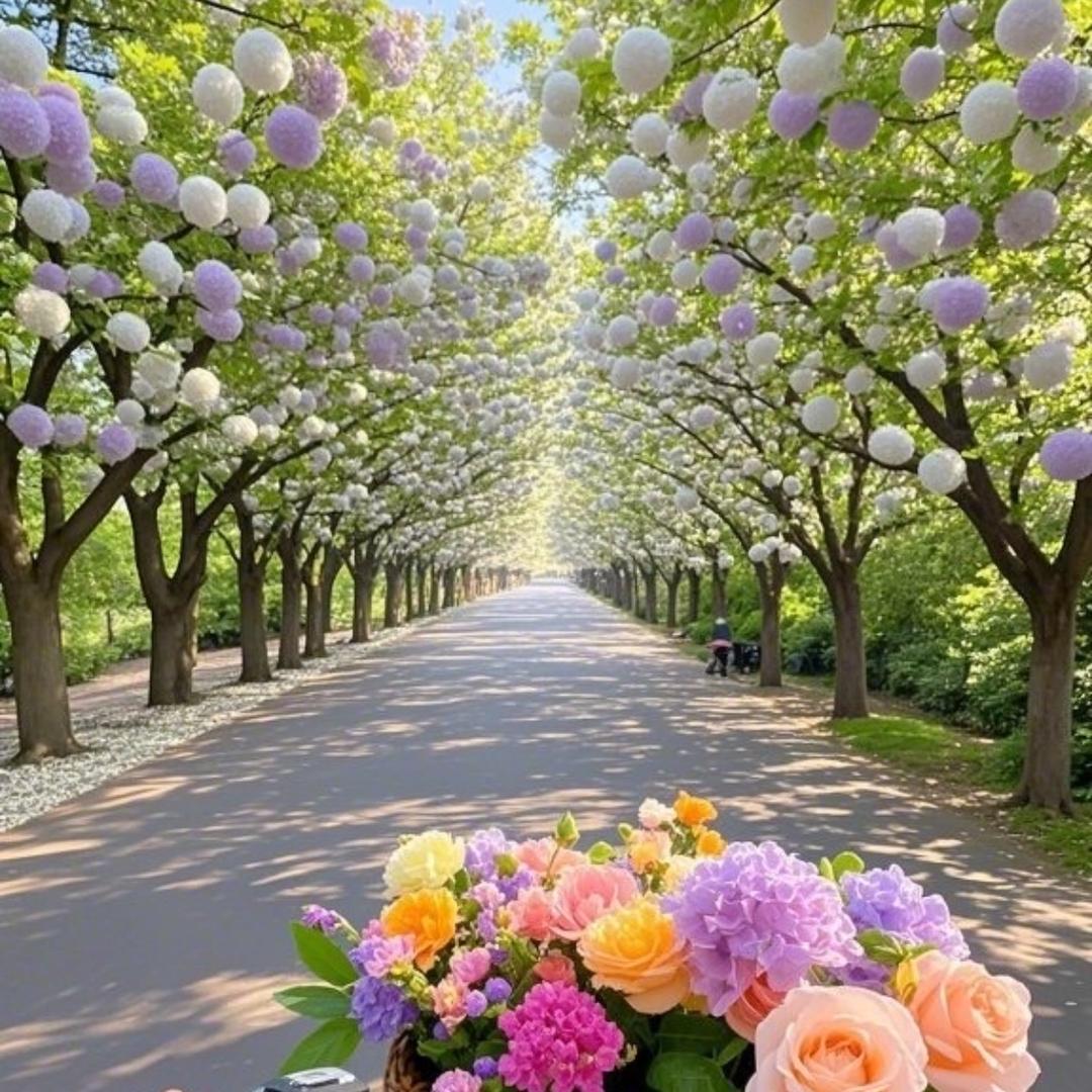 向日葵🌷