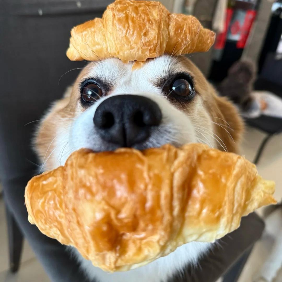 爱吃面的胖娃🍤🥓🦐🍖