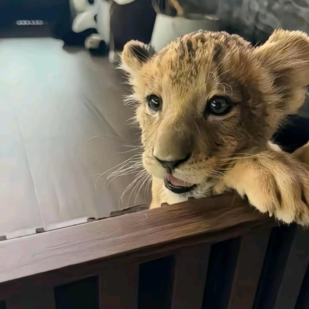 ￴￴   ￴ ￴ ￴￴￴