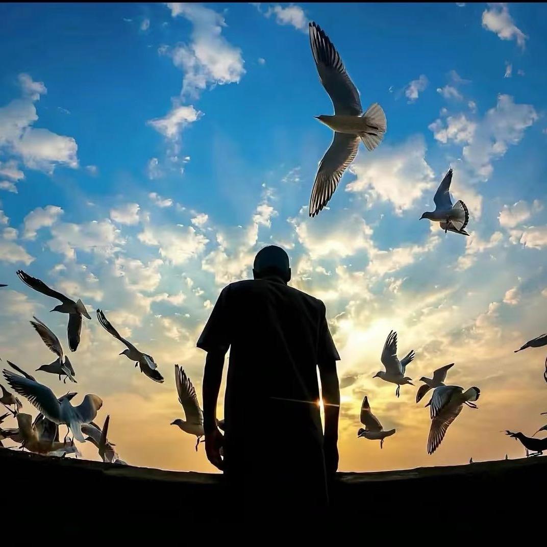 陈斯醇的快乐生活