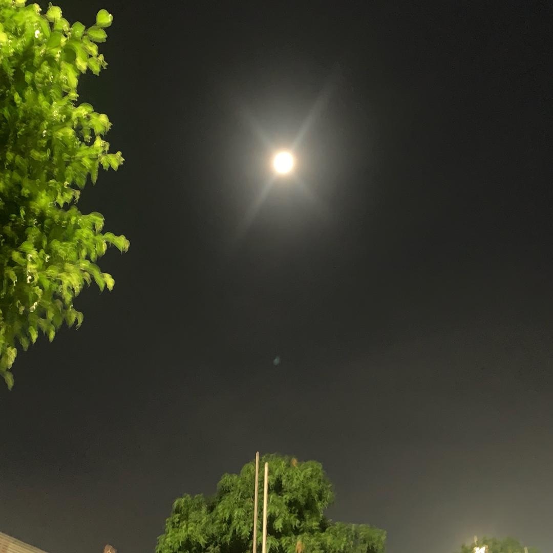 鱼喝酸奶