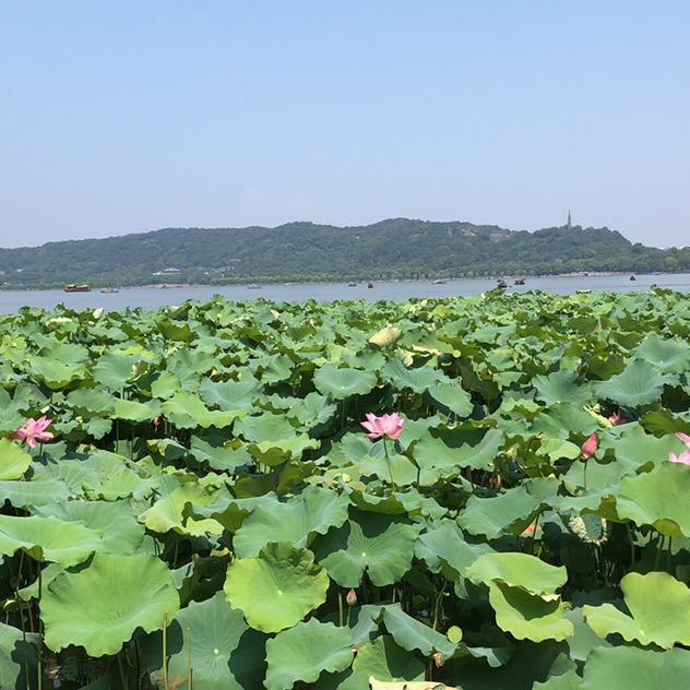 大大大