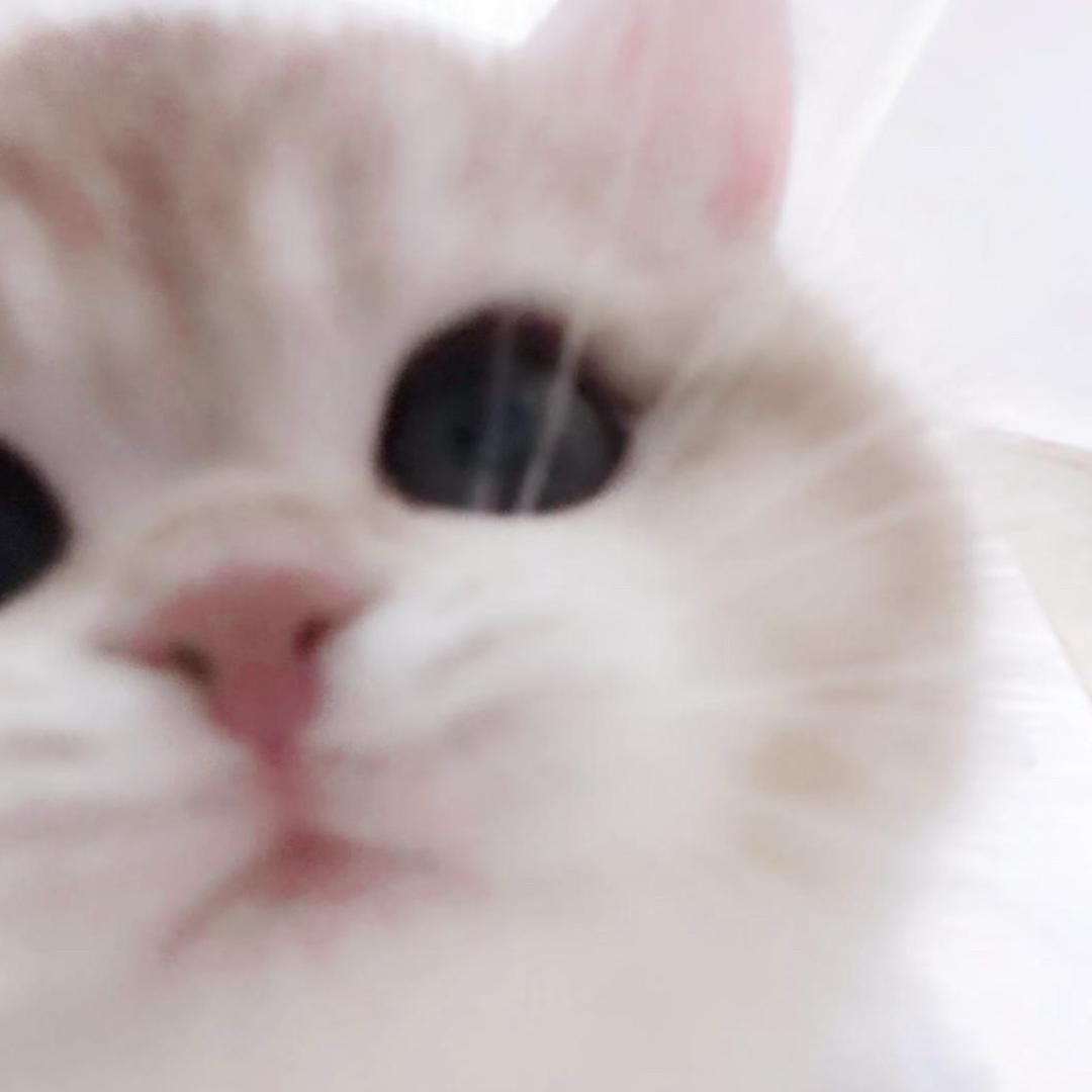 情圈