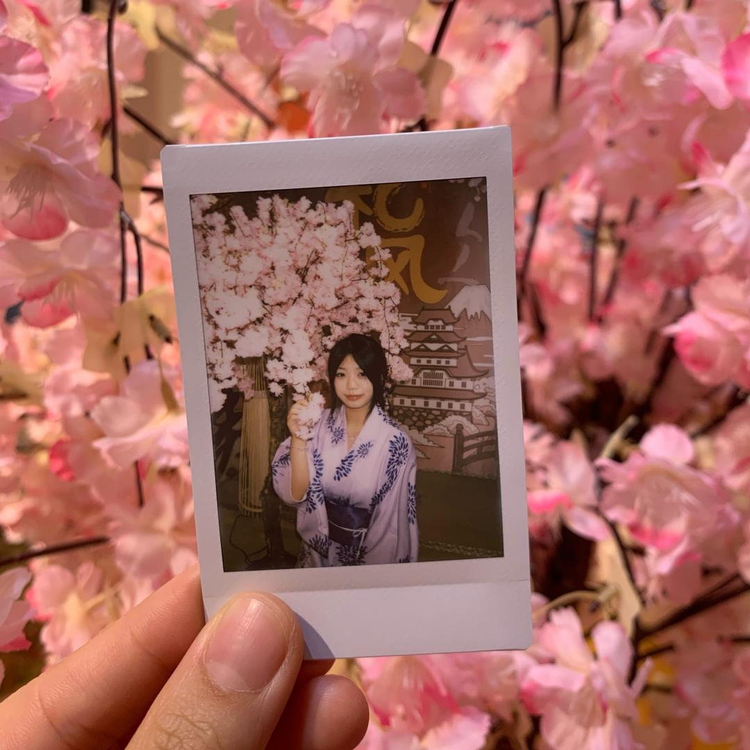 AAA白菜园菜老板