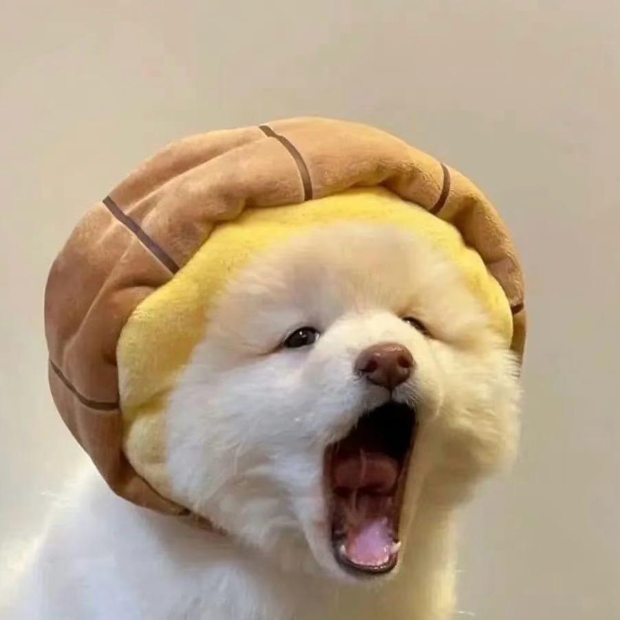碎冰冰