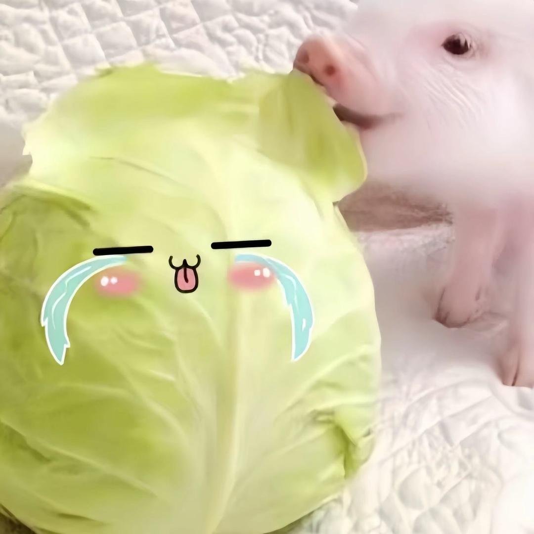 郁闷懒羊羊