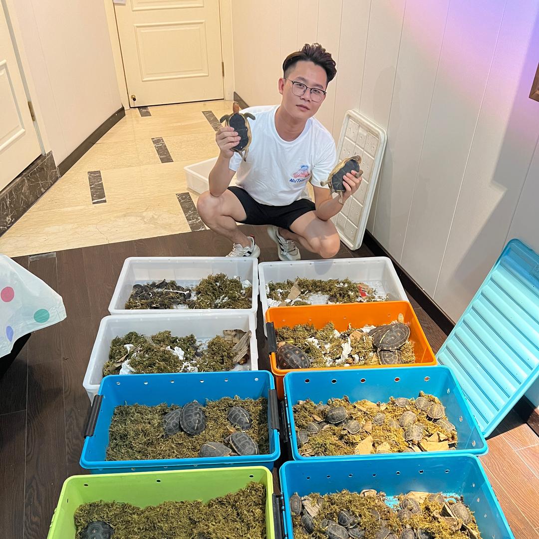 三米有龟